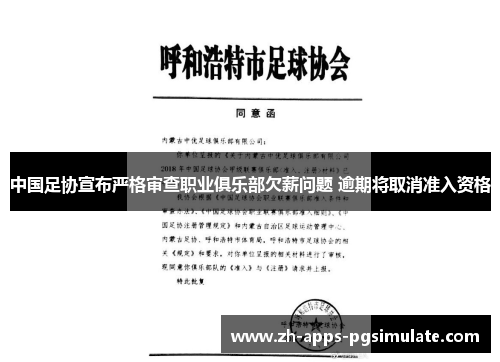 中国足协宣布严格审查职业俱乐部欠薪问题 逾期将取消准入资格