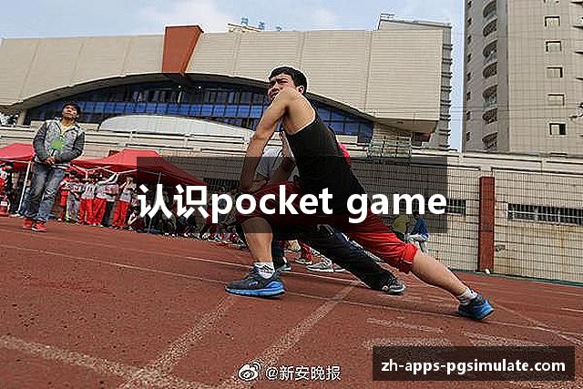 认识pocket game